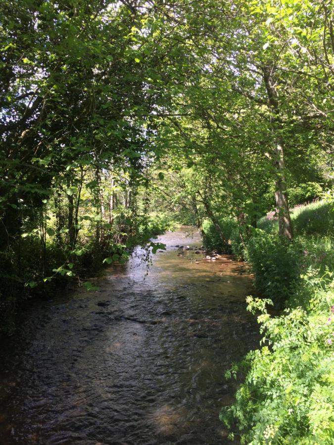Bow Mill Farm Bed and Breakfast Totnes Exteriör bild