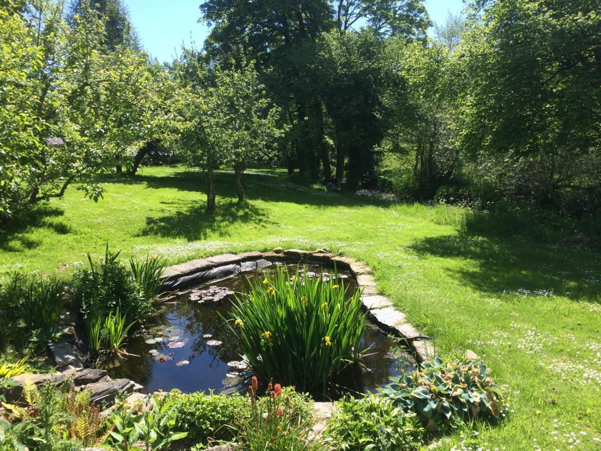 Bow Mill Farm Bed and Breakfast Totnes Exteriör bild