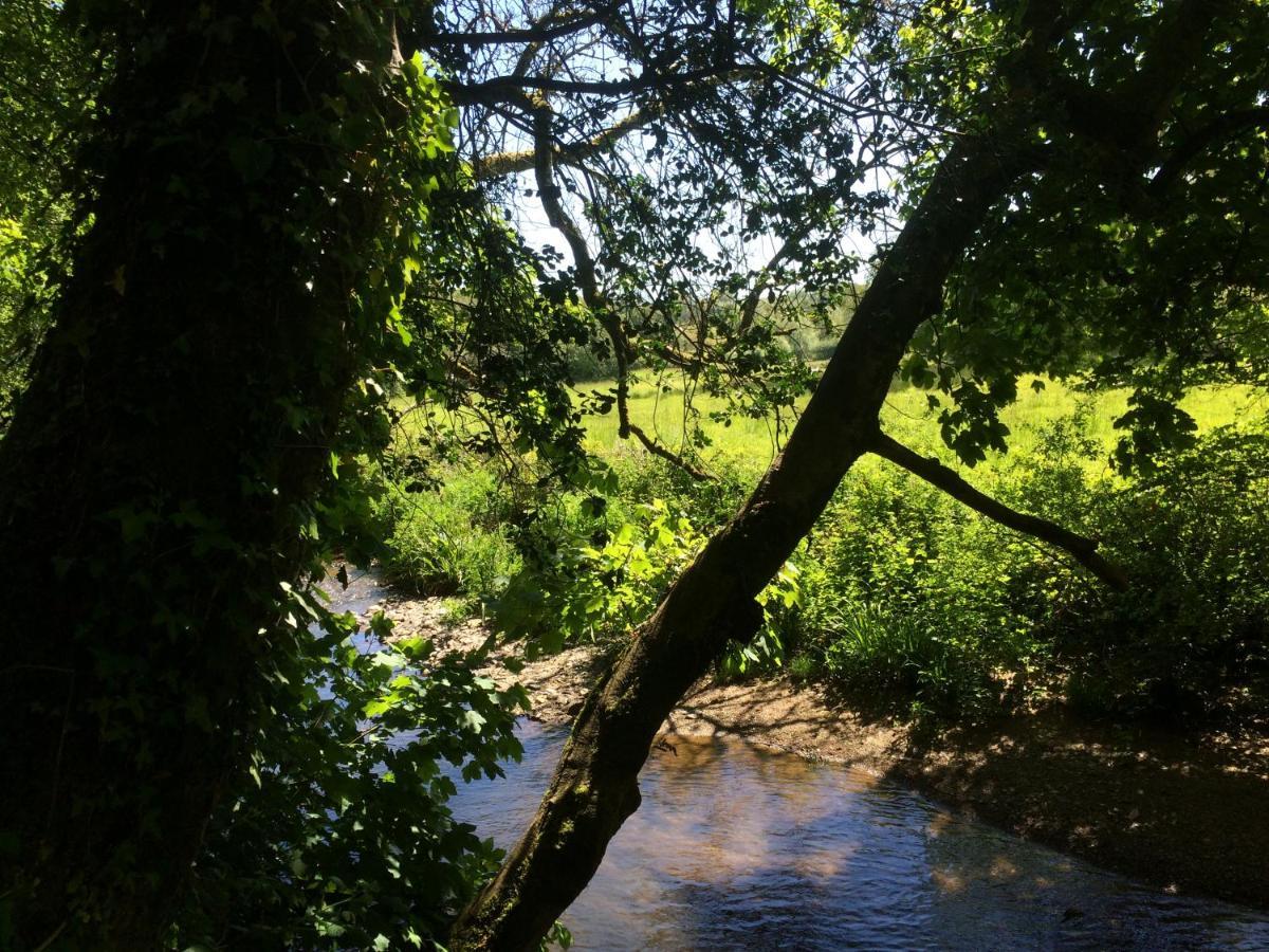 Bow Mill Farm Bed and Breakfast Totnes Exteriör bild