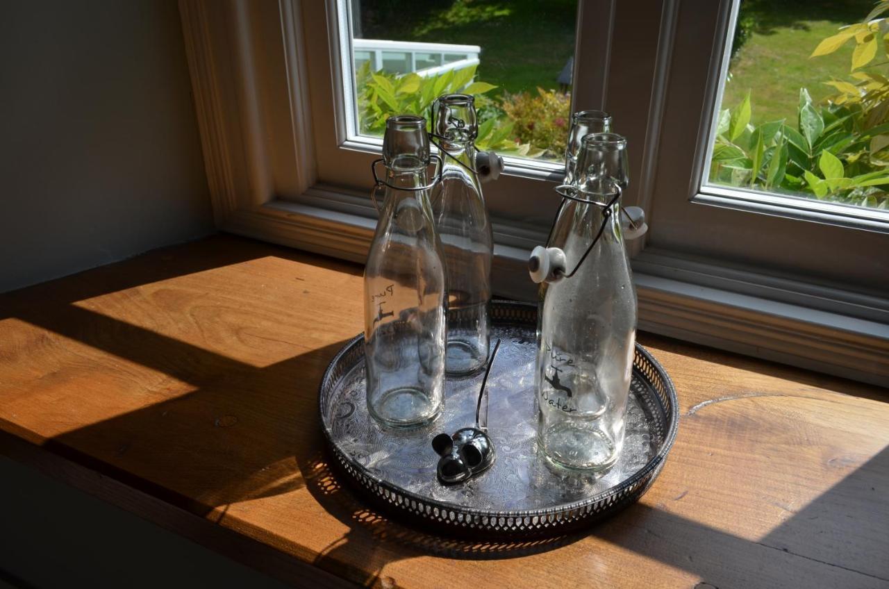 Bow Mill Farm Bed and Breakfast Totnes Exteriör bild