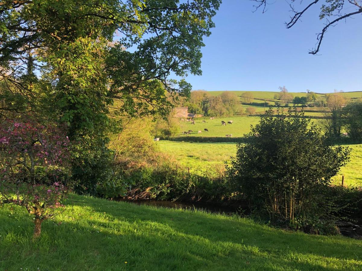 Bow Mill Farm Bed and Breakfast Totnes Exteriör bild